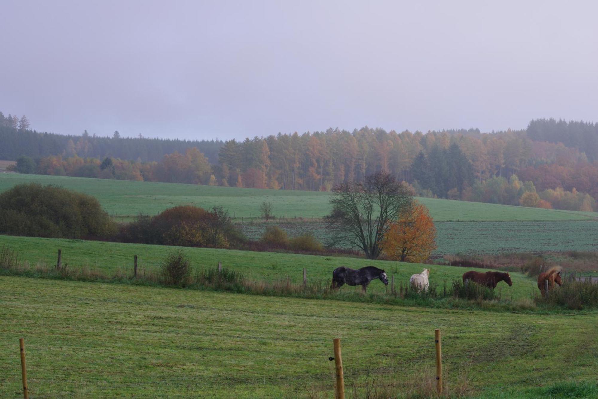 Maison Berton Gedinne Buitenkant foto